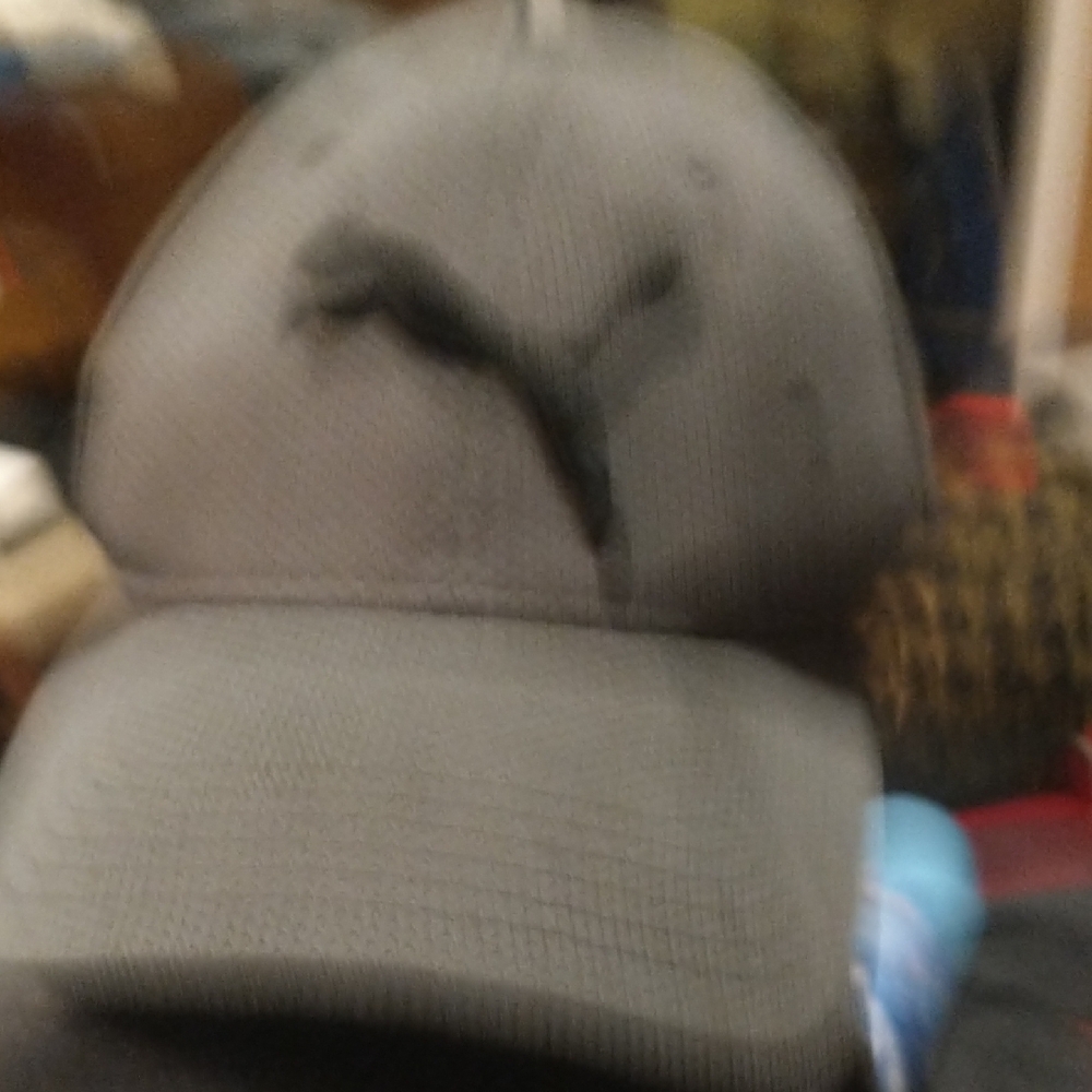 Puma Gray Cap